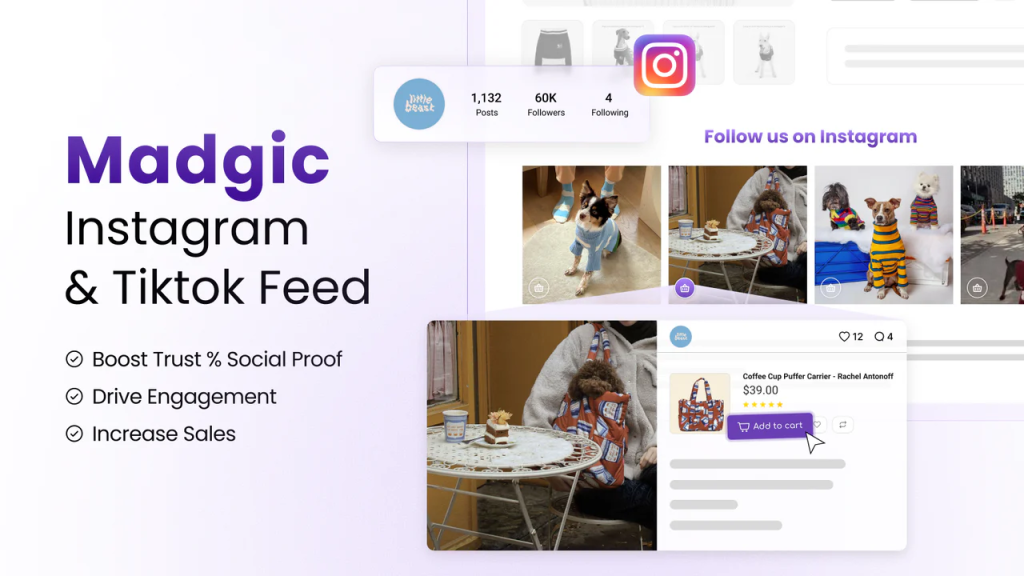 Why Should you Embed Instagram Feed On Website 2025?