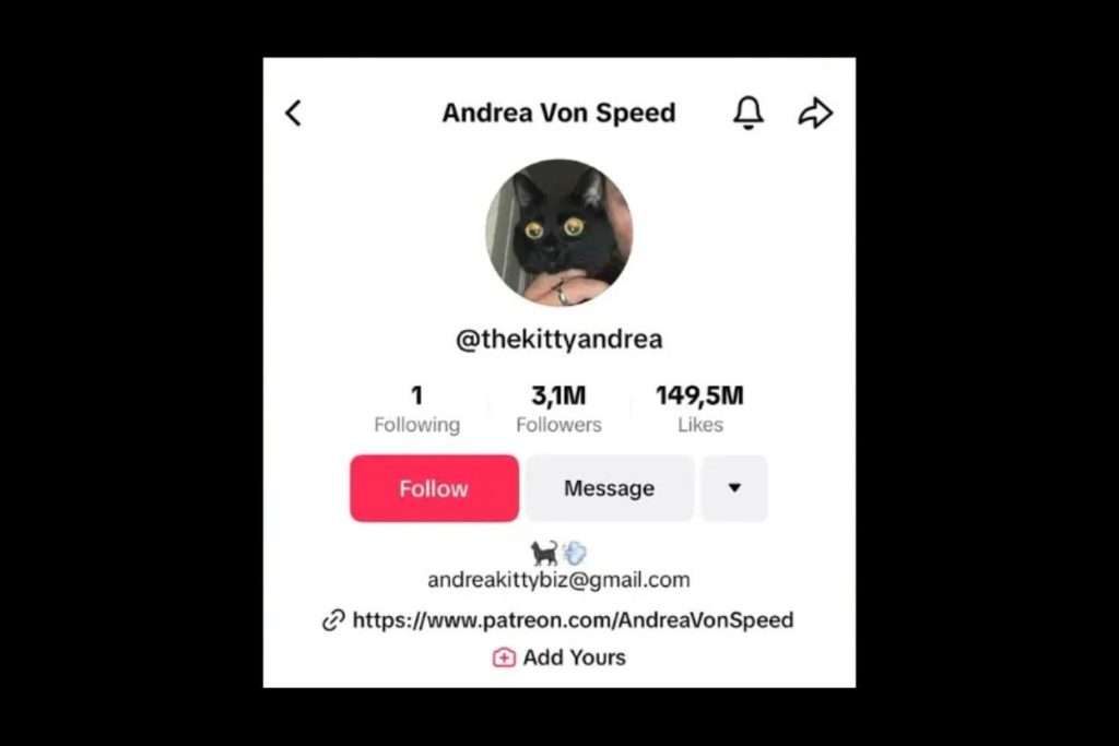 how-to-change-your-tiktok-username 5