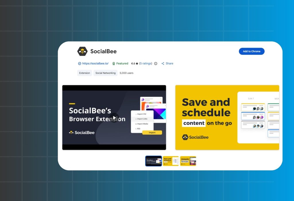 socialbee-review 6