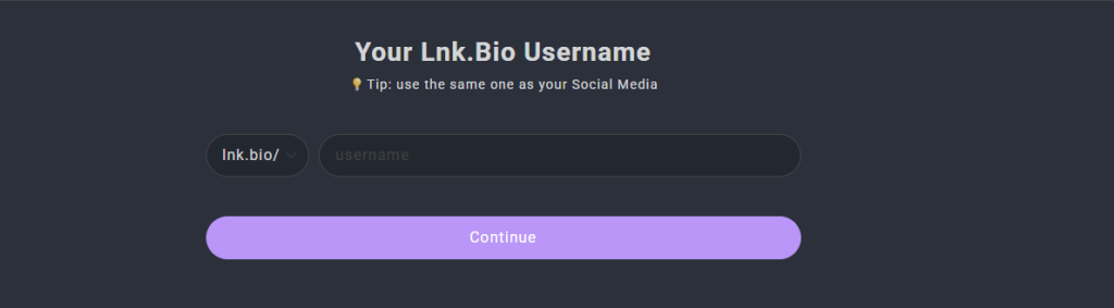 lnk-bio-review-2