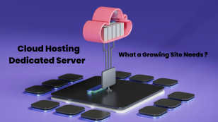 Cloud Hosting vs Dedicated Server: What a Growing Site Needs